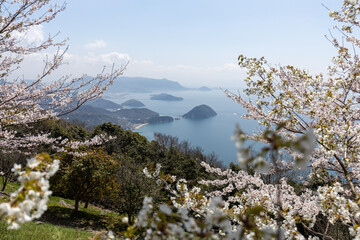 紫雲出山（しうでやま）山頂からの眺め（香川県三豊市）