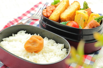 手作りのお弁当（日の丸ご飯）