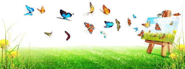 Beautiful nature view of butterfly on blurred background in garden.