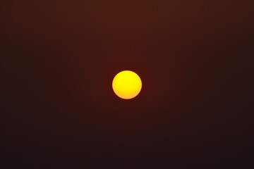 Beautiful colorful sun and sunlight.