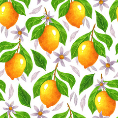 Blooming lemon seamless watercolor pattern. Branch with fresh garden citruses, leaves, flowers on white background. Ripe tropical fruits, hand drawn. Spring backdrop for decoration, design