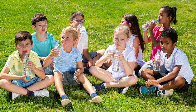 Group of children drink water from bottles on the summer lawn. High quality photo