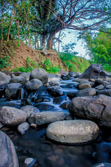 river with many stones and trees in the background the river flows with natural rocks
