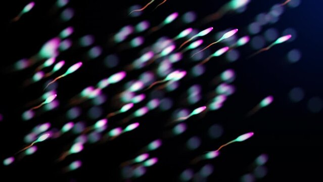Colorful Sperm cells swimming against dark blue background seamless looping CG animation. 4K 3D rendering medically illustration of sperm for biological scientific abstract background. 