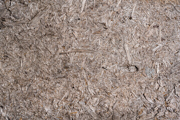 vintage background texture. old wood panels