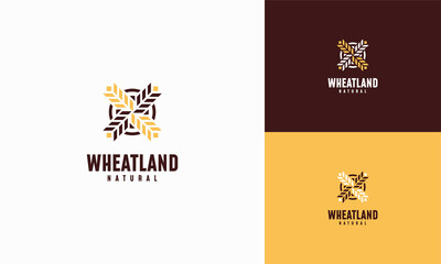 Grain wheat field logo concept, Agriculture wheat Logo Template vector icon