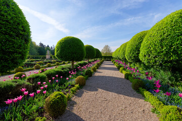 Garden of the orangery in the public park of Sceaux