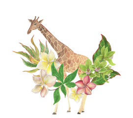 Watercolor painting floral composition with giraffe and tropical flowers, leaves