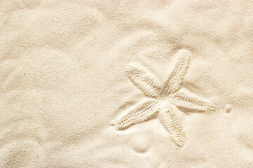 Fototapeta na wymiar starfish imprint on sandy beach