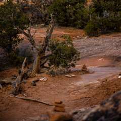 Stacked rocks leading hikers.