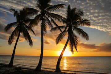 Naklejka na ściany i meble Sunset over Ouvea lagoon on Ouvea Island, Loyalty Islands, New Caledonia