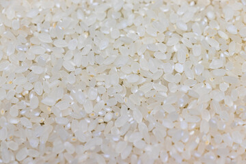 白い米粒の表面の質感