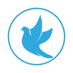 Bird wing Dove icon Template vector illustration design 
