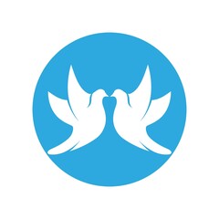 Bird wing Dove icon Template vector illustration design 