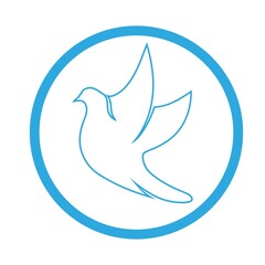 Bird wing Dove icon Template vector illustration design 