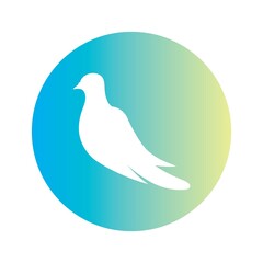 Bird wing Dove icon Template vector illustration design 