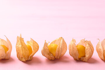 Cape gooseberry or golden berry (Physalis peruviana) on pink background