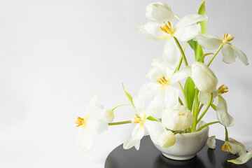 Naklejka na ściany i meble Ikebana of beautiful white tulips on kenzan in white vase. Eco trends. For easter decoration in spring at home.