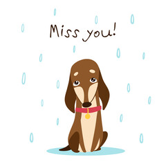 A sad dachshund stands in the rain. Lettering miss you. Drawn in cartoon style. Vector illustration for designs, prints and patterns. Isolated on white background