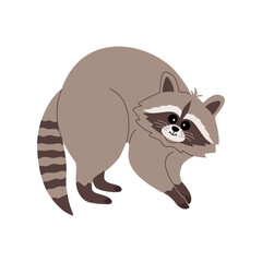 Cute raccoon with funny face. Hand drawn color vector illustration isolated on white background. Modern flat cartoon style.