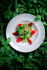 Green salad with dried tomatoes, beef and goat cheese on a plate of basil leaves around. The concept of healthy and proper nutrition