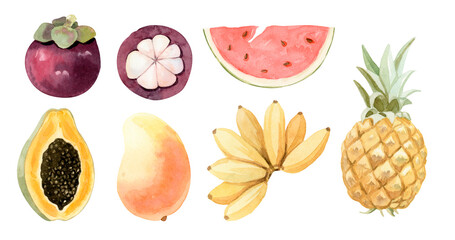 Hand drawn watercolor illustration of different exotic tropical fruits. Hand painted watercolor illustration. Isolated on the white background.