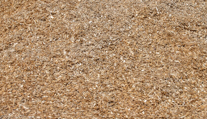 texture of sawdust - background photo