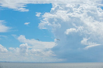 夏の入道雲