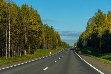 Empty asphalt road through the trees in autumn. Asphalt road with beautiful trees on sides in autumn. 