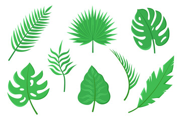 Vector set of different green tropical leaves isolated on white background.