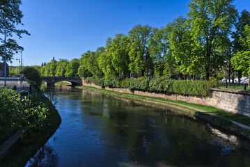 Fototapeta na wymiar River in Strasbourg with Trees
