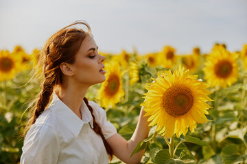 woman with pigtails In a field with blooming sunflowers countryside