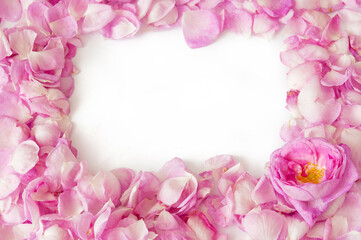 Obraz na płótnie Canvas beautiful pink rose petals background with copy space