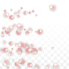 Pink Vector Realistic Petals Falling on Transparent Background.  Spring Romantic Flowers Illustration. Flying Petals. Sakura Spa Design. Blossom Confetti. Design Elements for Wedding Decoration.