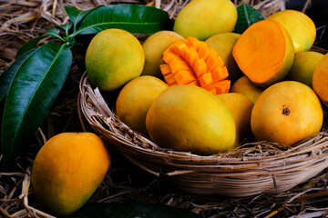 Mango tropical fruit with green leaf, Ripe mango in grass closeup