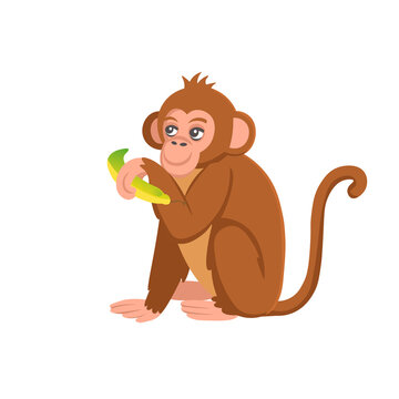 Cute cartoon  monkey with banana on white background. Animals of Africa. Vector cartoon illustration.