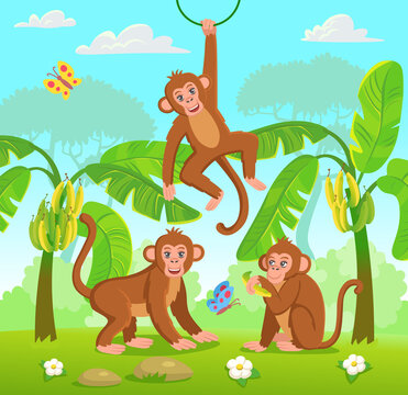 Set of cute cartoon monkey character. Animals of Africa. Vector cartoon illustration.