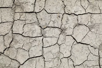 Foto auf Alu-Dibond sequía tierra seca agrietada falta de agua textura desertización sur almería españa 4M0A4613-as22 © txakel
