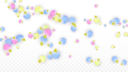 Vector Realistic Colorful Petals Falling on Transparent Background.  Spring Romantic Flowers Illustration. Flying Petals. Sakura Spa Design. Blossom Confetti. Design Elements for Wedding Decoration.