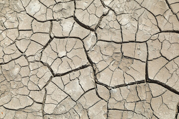 sequía suelo seco agrietado falta de agua textura desertización almería españa 4M0A4616-as22 - obrazy, fototapety, plakaty