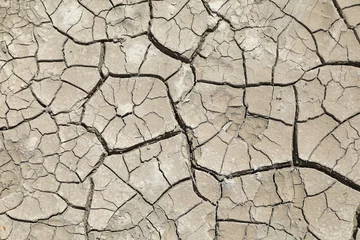Foto op Aluminium sequía suelo seco agrietado falta de agua textura desertización almería españa 4M0A4616-as22 © txakel