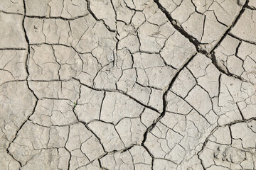 sequía suelo seco agrietado falta de agua textura desertización almería españa 4M0A4618-as22