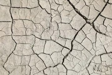 Foto op Canvas sequía suelo seco agrietado falta de agua textura desertización almería españa 4M0A4618-as22 © txakel