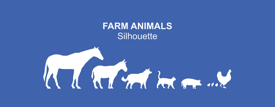 animal vector, eps vector, animal, zoo, Different animals, Variety of farm  animals, vector animals Stock Vector | Adobe Stock