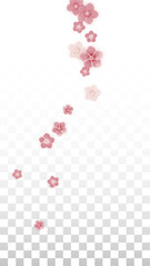 Vector Realistic Pink Flowers Falling on Transparent Background.  Spring Romantic Flowers Illustration. Flying Petals. Sakura Spa Design. Blossom Confetti. Design Elements for Wedding Decoration.