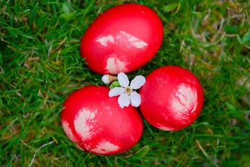 Red painted Easter eggs on green grass. Beautiful orthodox and catholic Easter decorations.