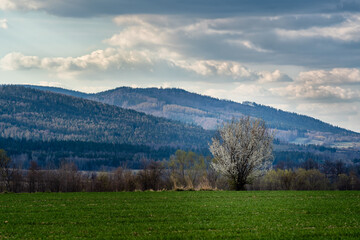 landscape with mountains