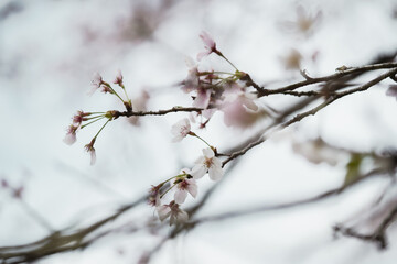 4月にまた会おう
