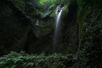 流れに身を任せて