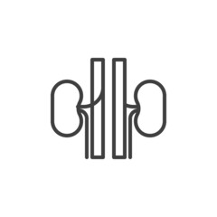 Human kidneys line icon